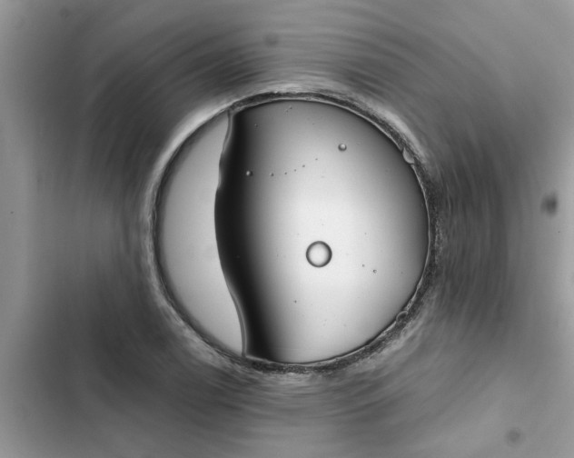 X0000102341122200808151722