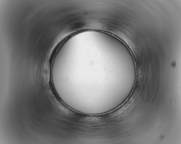 X0000102341123200808151722