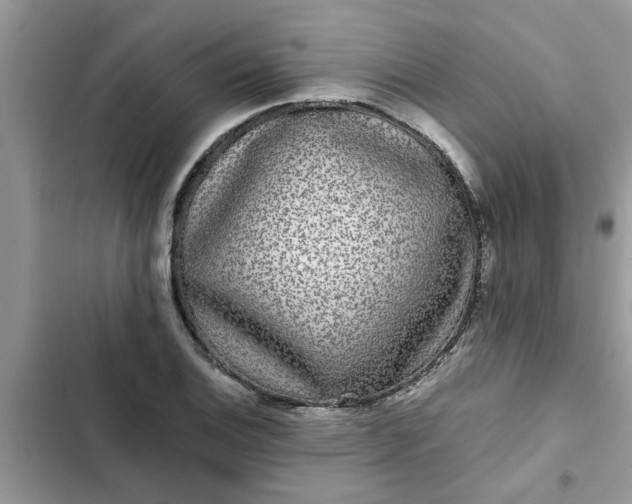 X0000102341124200808151722