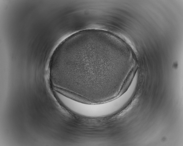 X0000102341125200808151722