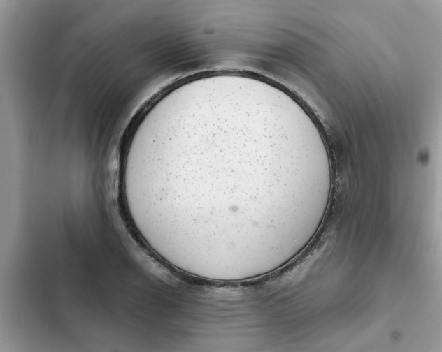 X0000102341126200808151722