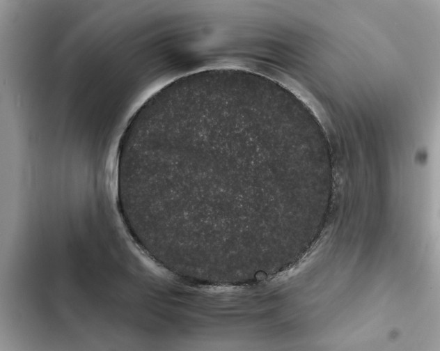 X0000102341127200808151722