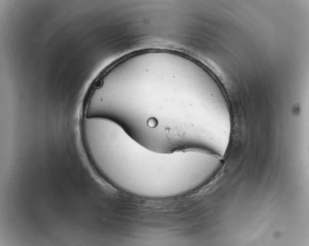 X0000102341128200808151722