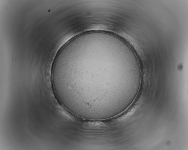 X0000102341129200808151722