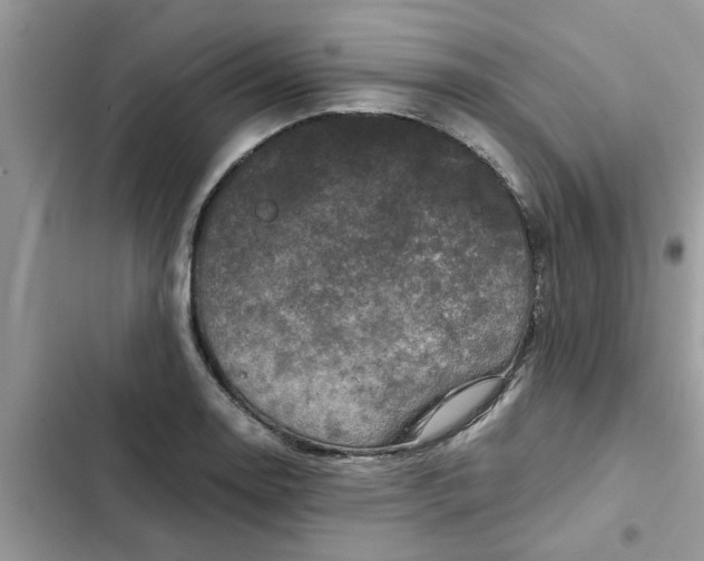 X0000102341130200808151722