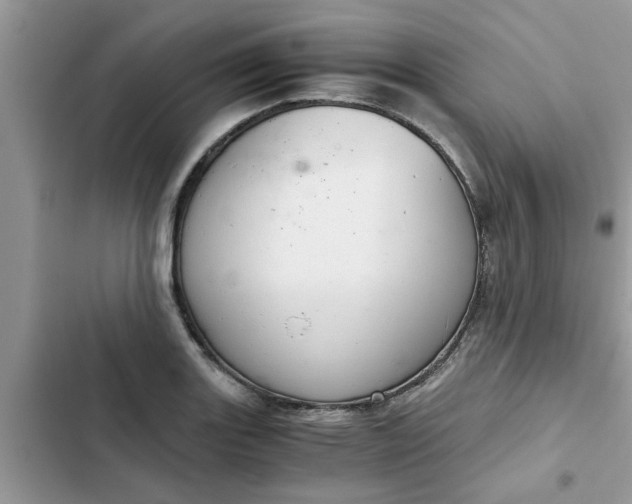 X0000102341131200808151722