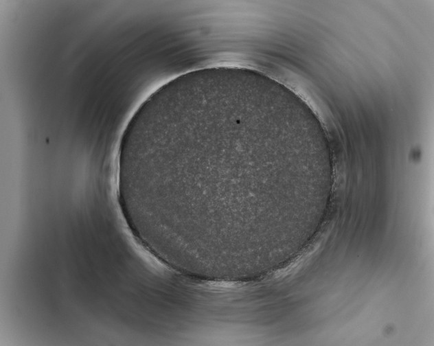 X0000102341132200808151722