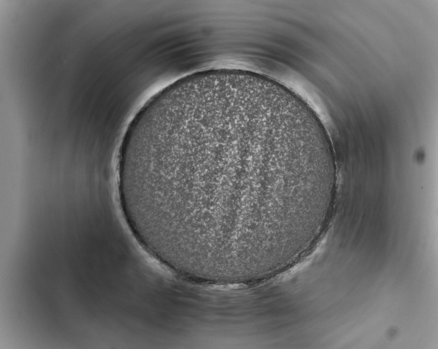 X0000102341133200808151722