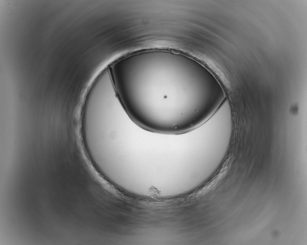 X0000102341134200808151722