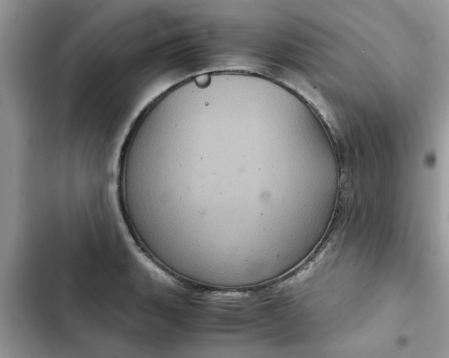 X0000102341135200808151722