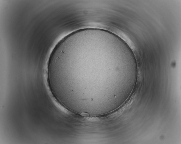 X0000102341136200808151722