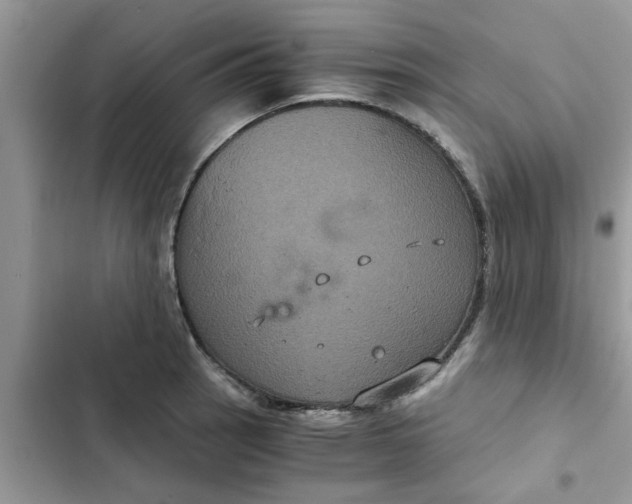 X0000102341137200808151722