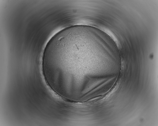 X0000102341138200808151722