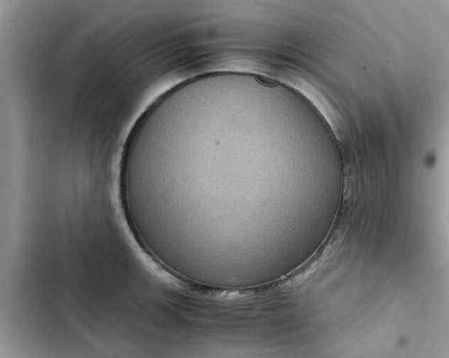 X0000102341139200808151722