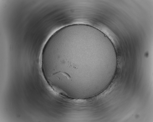 X0000102341140200808151722