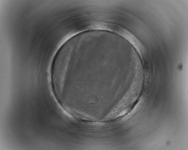 X0000102341141200808151722