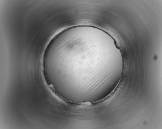 X0000102341142200808151722