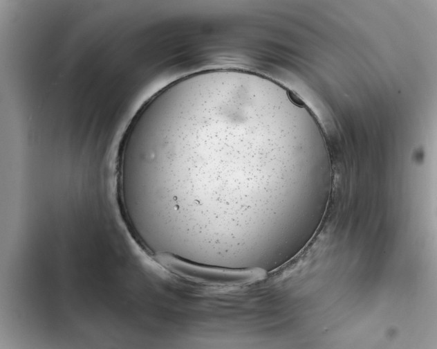 X0000102341143200808151722