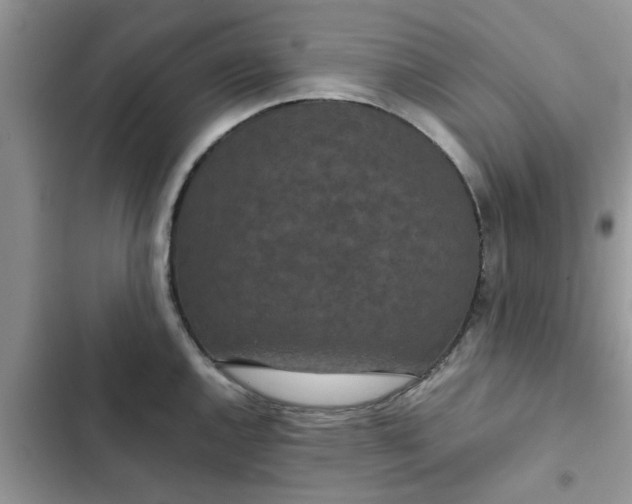 X0000102341144200808151722