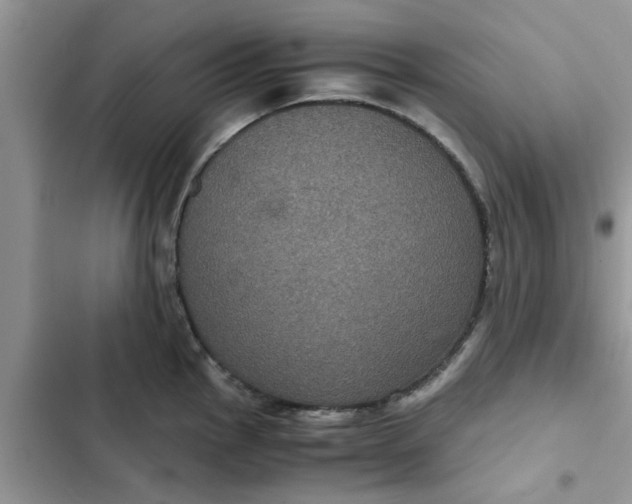 X0000102341145200808151722