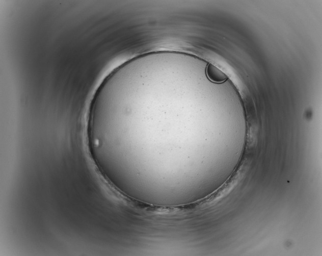 X0000102341146200808151722