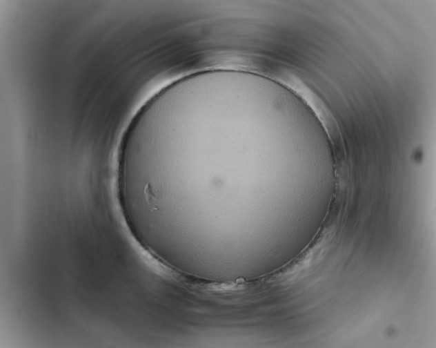 X0000102341147200808151722