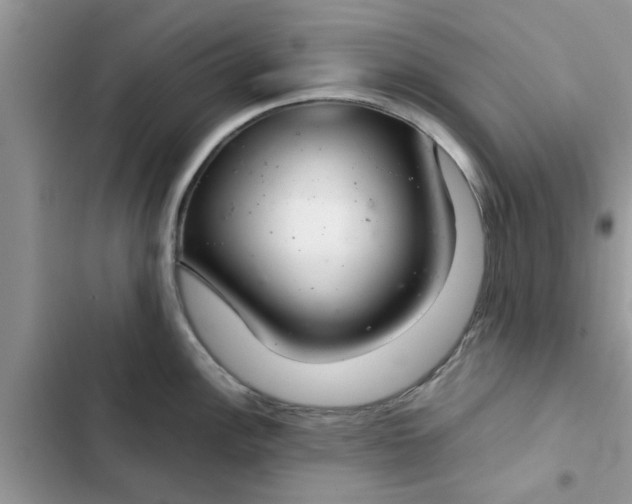 X0000102341148200808151722