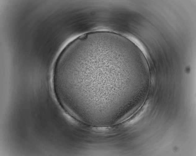 X0000102341149200808151722