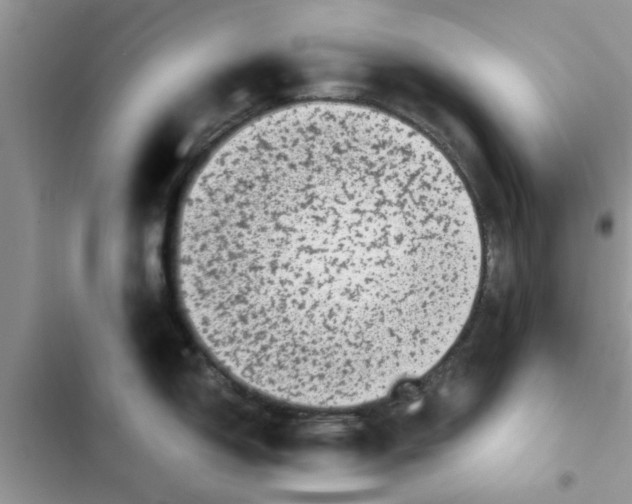 X0000102341150200808151722