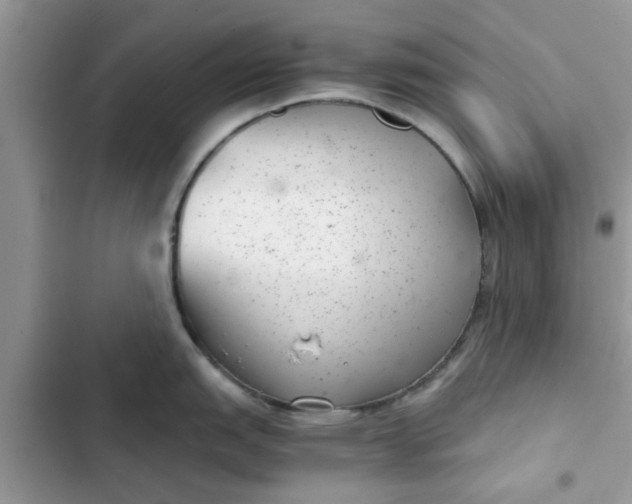 X0000102341151200808151722