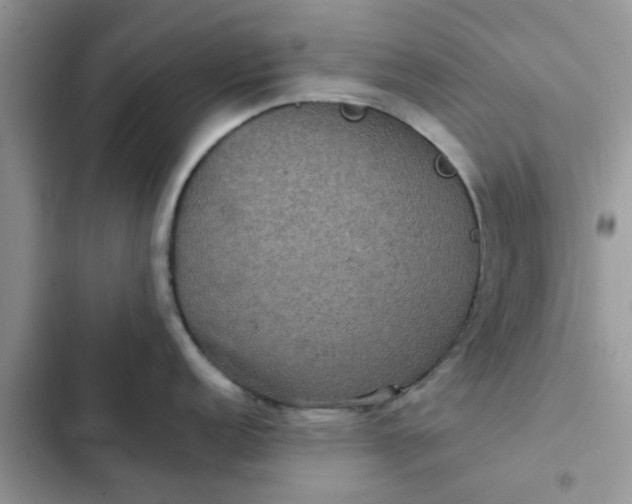 X0000102341152200808151722