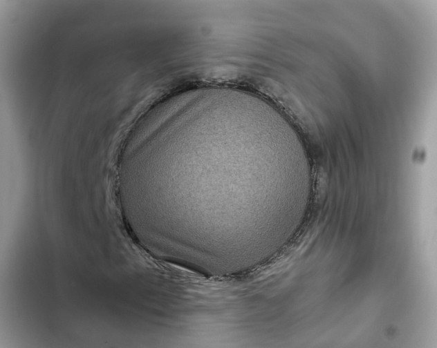 X0000102341153200808151721