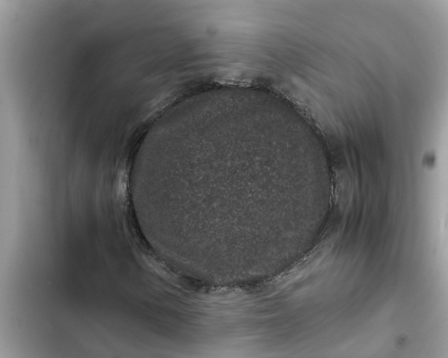 X0000102341154200808151721