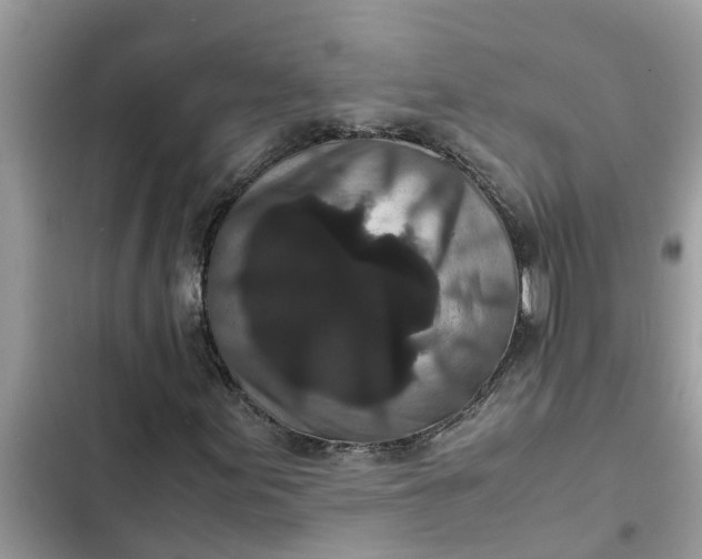 X0000102341155200808151721