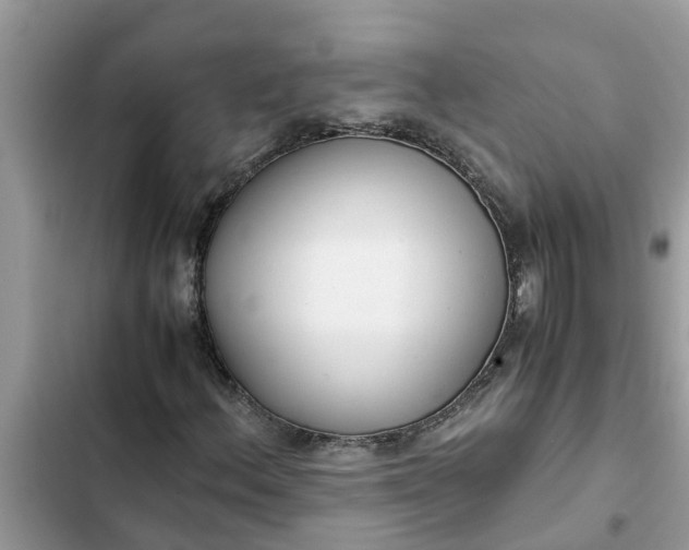 X0000102341156200808151721