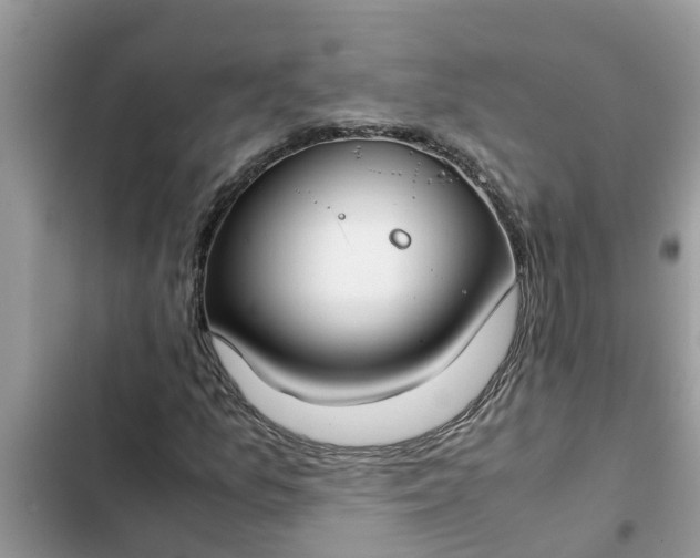 X0000102341157200808151721