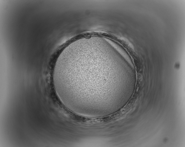 X0000102341159200808151721