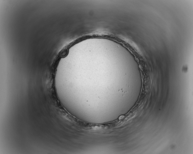 X0000102341160200808151721