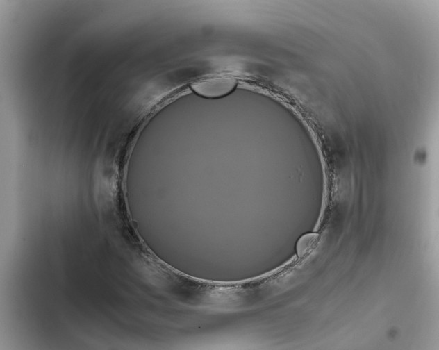 X0000102341161200808151721