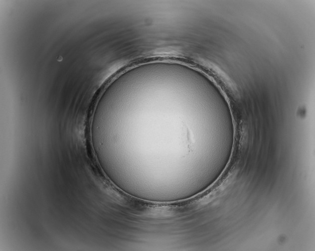 X0000102341162200808151721