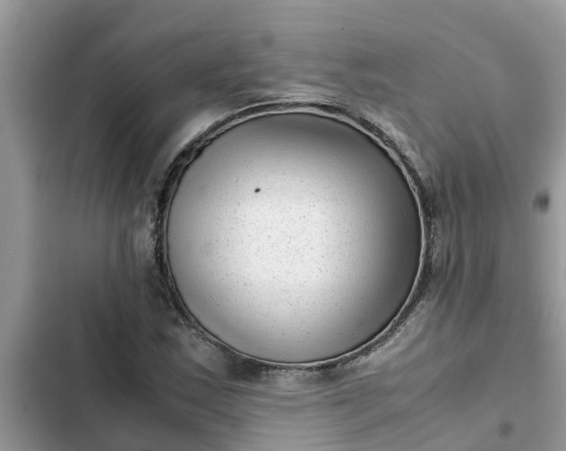 X0000102341163200808151721