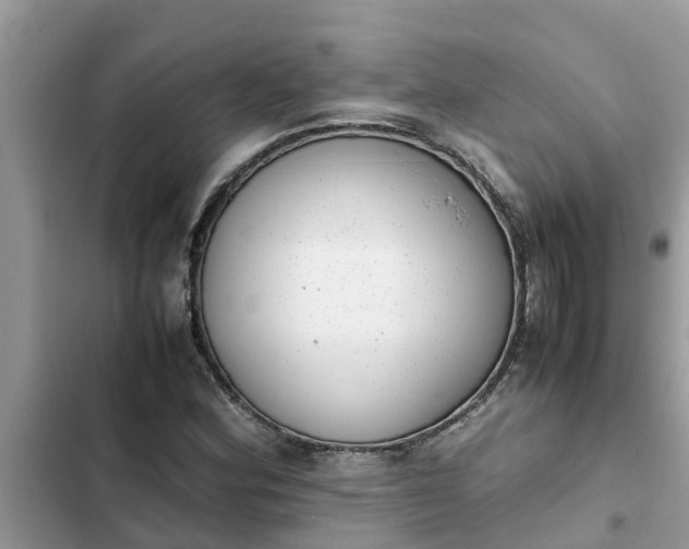 X0000102341164200808151721