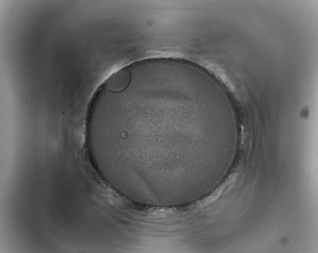 X0000102341165200808151721