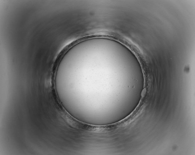 X0000102341166200808151721