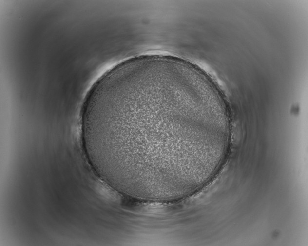 X0000102341167200808151721