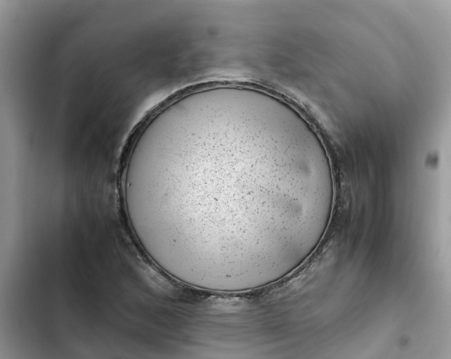 X0000102341168200808151721