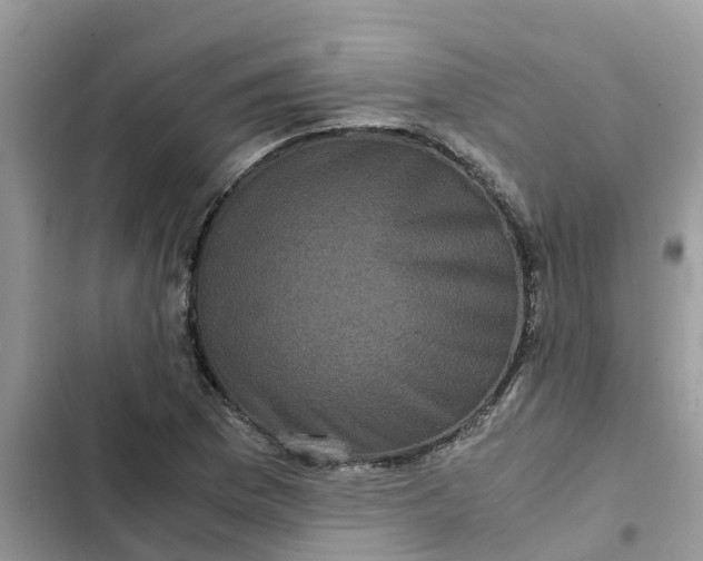 X0000102341169200808151721