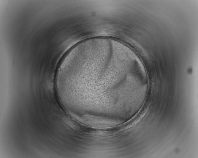 X0000102341170200808151721