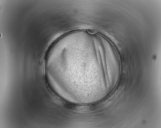 X0000102341171200808151721