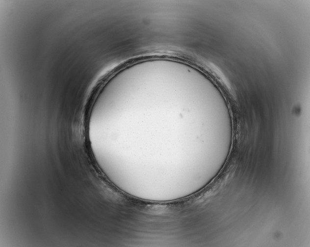 X0000102341172200808151721